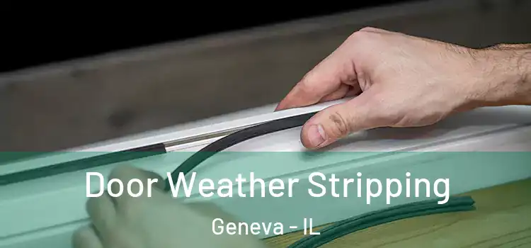 Door Weather Stripping Geneva - IL