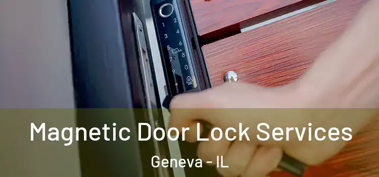Magnetic Door Lock Services Geneva - IL